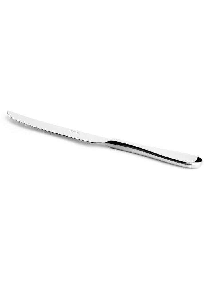 Steak Knife  | Stainless Steel, Medium Weight | Pack of 12 Pcs