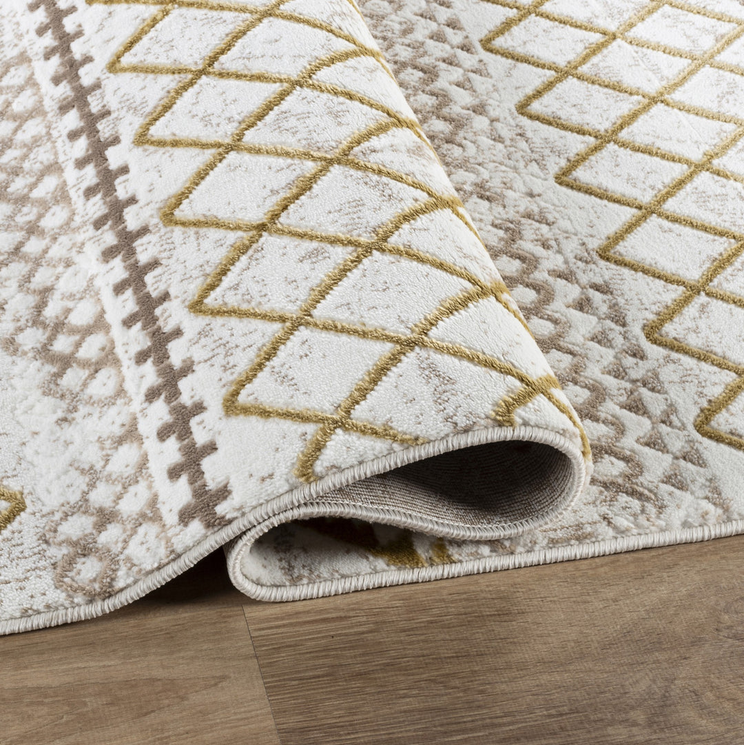 Troy Modern Bohemian Geometric Area Rug | Soft Polyester Indoor Accent Rug for Living Room, Bedroom, Dining Room & Office