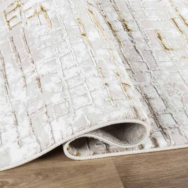 Troy Abstract Area Rug | Modern Polyester Indoor Rug | Textured Distressed Pattern